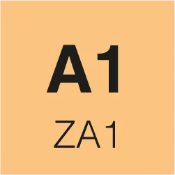 A1 Sınavı