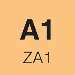 A1 Sınavı